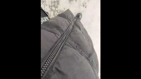 kitsune_alice @ bongacams on 20231204