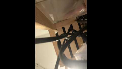 _wowfox_ @ bongacams on 20231205