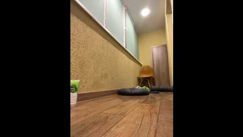 essexxs @ bongacams on 20231205