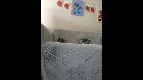 lilo_stitch @ bongacams on 20231208
