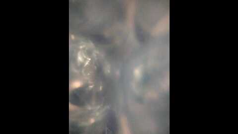 winx20 @ bongacams on 20231211