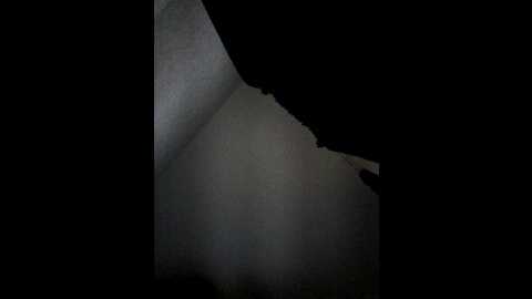 alina1706sex @ bongacams on 20231213