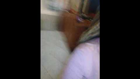 lilo_stitch @ bongacams on 20231217