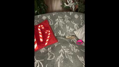 afinab @ bongacams on 20231218