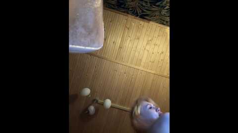 angelll3 @ bongacams on 20231219