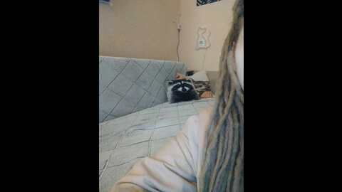 lilo_stitch @ bongacams on 20231220