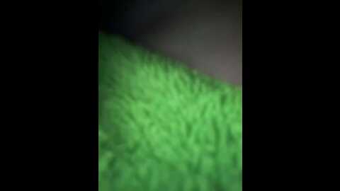 monikayyy @ bongacams on 20231220