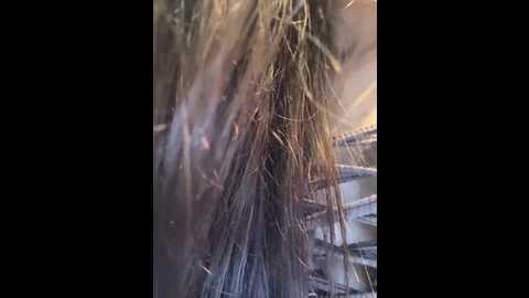 monikayyy @ bongacams on 20231221