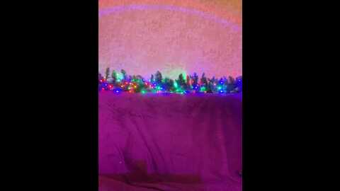 cool_baby @ bongacams on 20231225