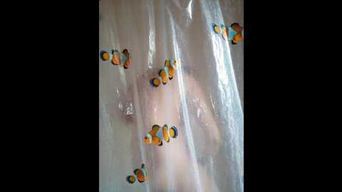 terrirose @ bongacams on 20231225