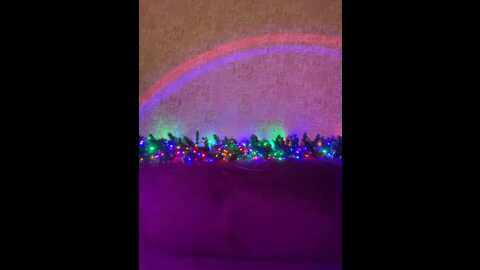 cool_baby @ bongacams on 20231226