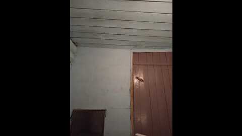 mussypussy222 @ bongacams on 20231227