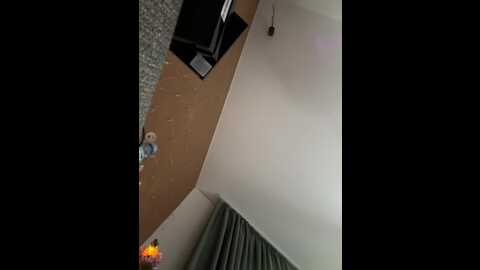 vagnermur @ bongacams on 20231229