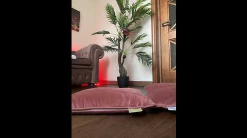 mercury1991 @ bongacams on 20240101