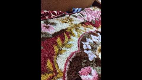 super_couple @ bongacams on 20240104
