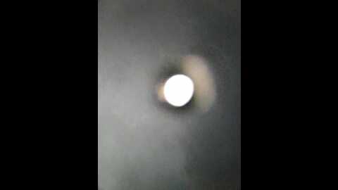 kitsune_alice @ bongacams on 20240106