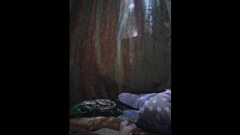 loveseks1986 @ bongacams on 20240107