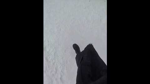 kitsune_alice @ bongacams on 20240108