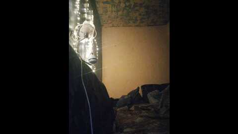 loveseks1986 @ bongacams on 20240108