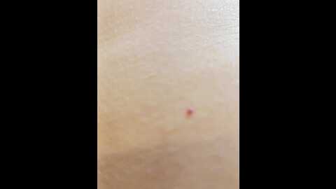 hairycrotch @ bongacams on 20240114