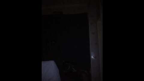 lizidi1