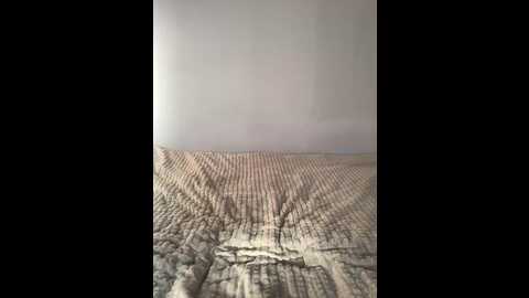 mohito_111
