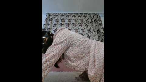 sun_shy @ bongacams on 20240116