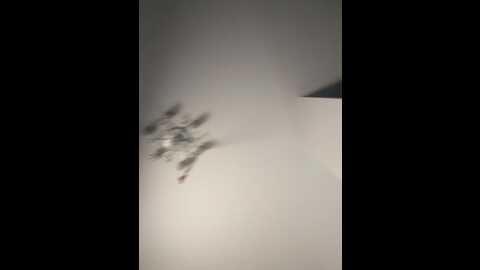 x_nastya_x @ bongacams on 20240116