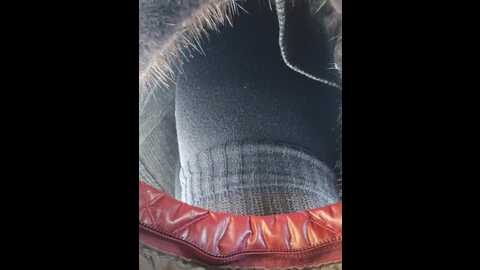 editamilf @ bongacams on 20240117