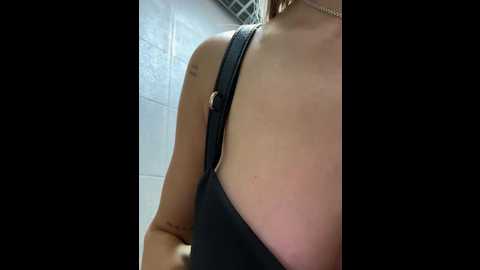meow_777 @ bongacams on 20240917