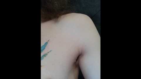 axel_20x @ bongacams on 20240918