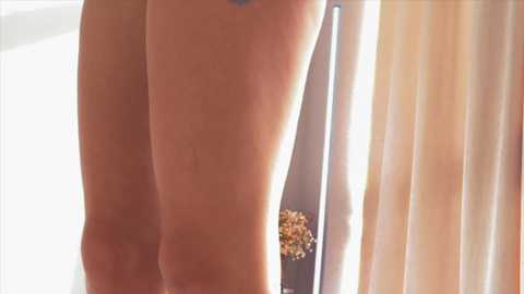 fina771 @ bongacams on 20240918