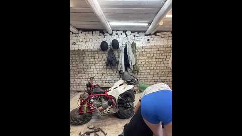 _breid_1 @ bongacams on 20240920