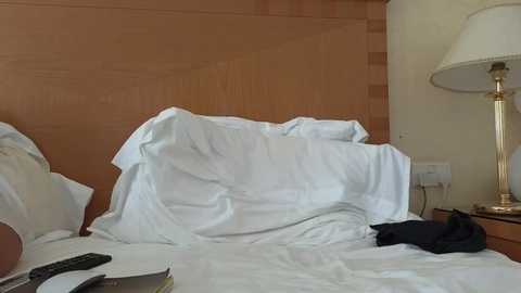 mr_and_mrs_smith_xxl @ bongacams on 20240920