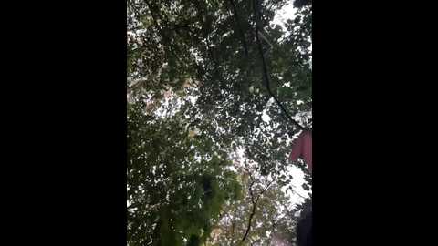 babydarii @ bongacams on 20240921