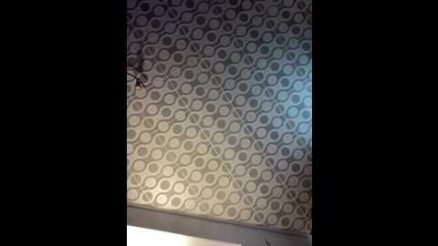 afinab @ bongacams on 20240922