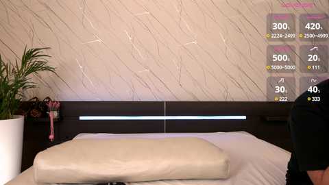 bigtitsss @ bongacams on 20240922