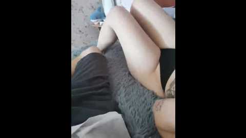 intimens @ bongacams on 20240922