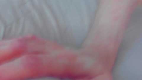 lambakaif @ bongacams on 20240922