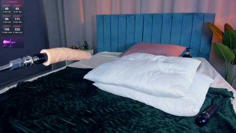 yourkitty1 @ bongacams on 20240922