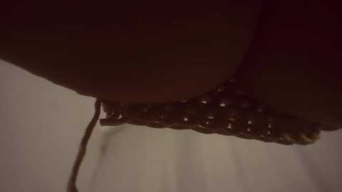 heybanana @ bongacams on 20240923