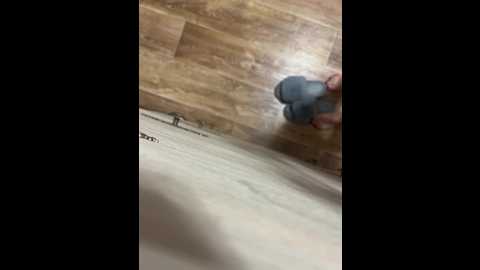 intimens @ bongacams on 20240923