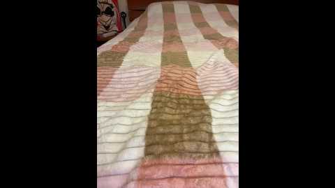 peach__alice @ bongacams on 20240923