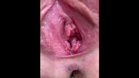 sweet1sleep @ bongacams on 20240923