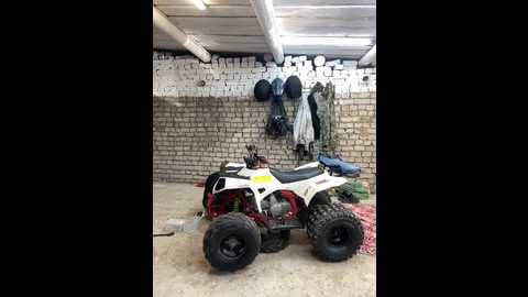 _breid_1 @ bongacams on 20240924