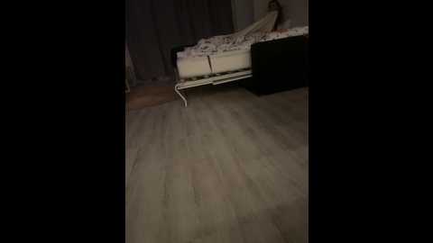 posledni1geroi1 @ bongacams on 20240924