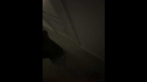 posledni1geroi1 @ bongacams on 20240924