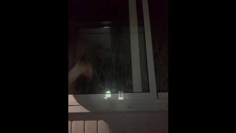 alyavass1 @ bongacams on 20240925