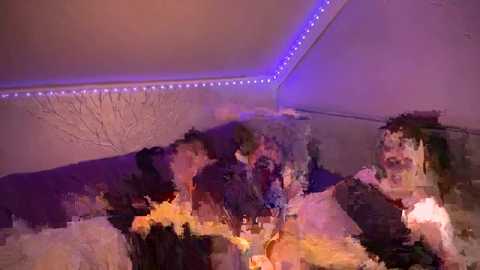 bagsanbanny @ bongacams on 20240925