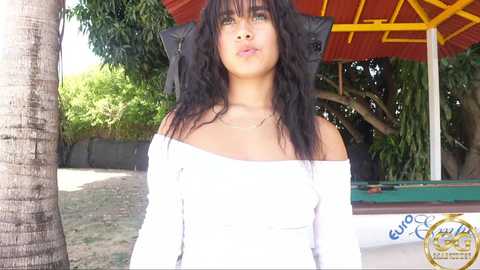 ggmansion @ bongacams on 20240925
